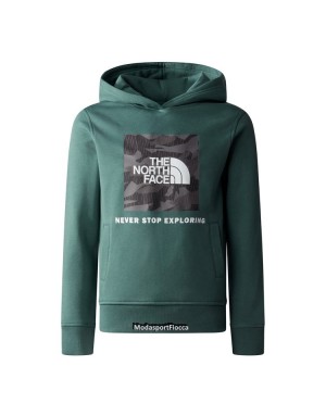 FELPA CAPPUCCIO THE NORTH FACE TEENS BOX JUNIOR