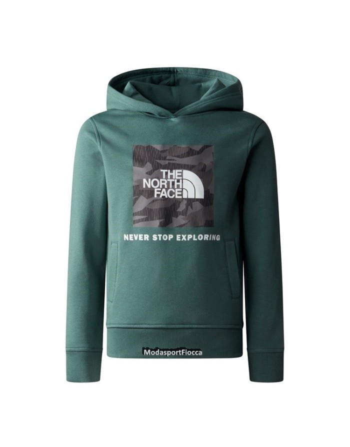 FELPA CAPPUCCIO THE NORTH FACE TEENS BOX JUNIOR