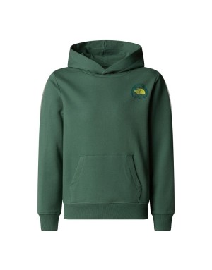 FELPA CON CAPPUCCIO THE NORTH FACE GRAPHIC RELAXED