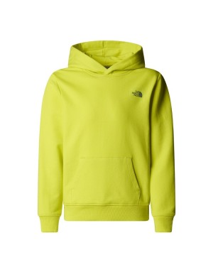 FELPA CON CAPPUCCIO THE NORTH FACE GRAPHIC RELAXED