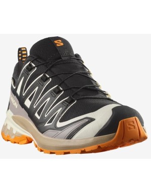 SCARPE SALOMON  XA PRO 3D V9 GTX