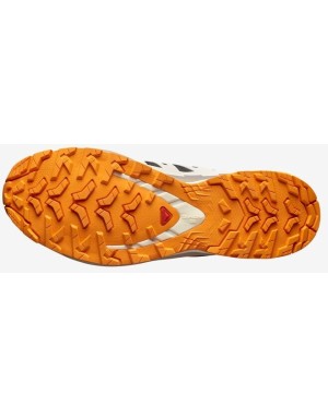 SCARPE SALOMON  XA PRO 3D V9 GTX
