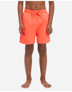 BOXER DA MARE FIREFLY KEN III B